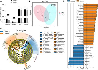 Metagenomic Analysis Revealed Differences in Composition and Function Between Liquid-Associated and Solid-Associated Microorganisms of Sheep Rumen